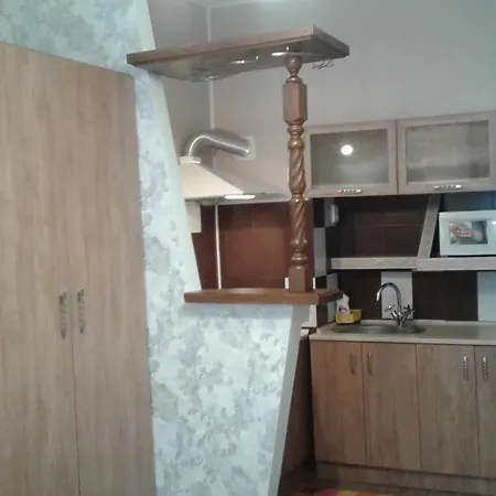 Lejlighed Near Rynok Square On Serbska Street *